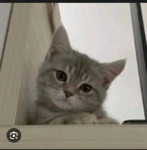 буду показывать лицо