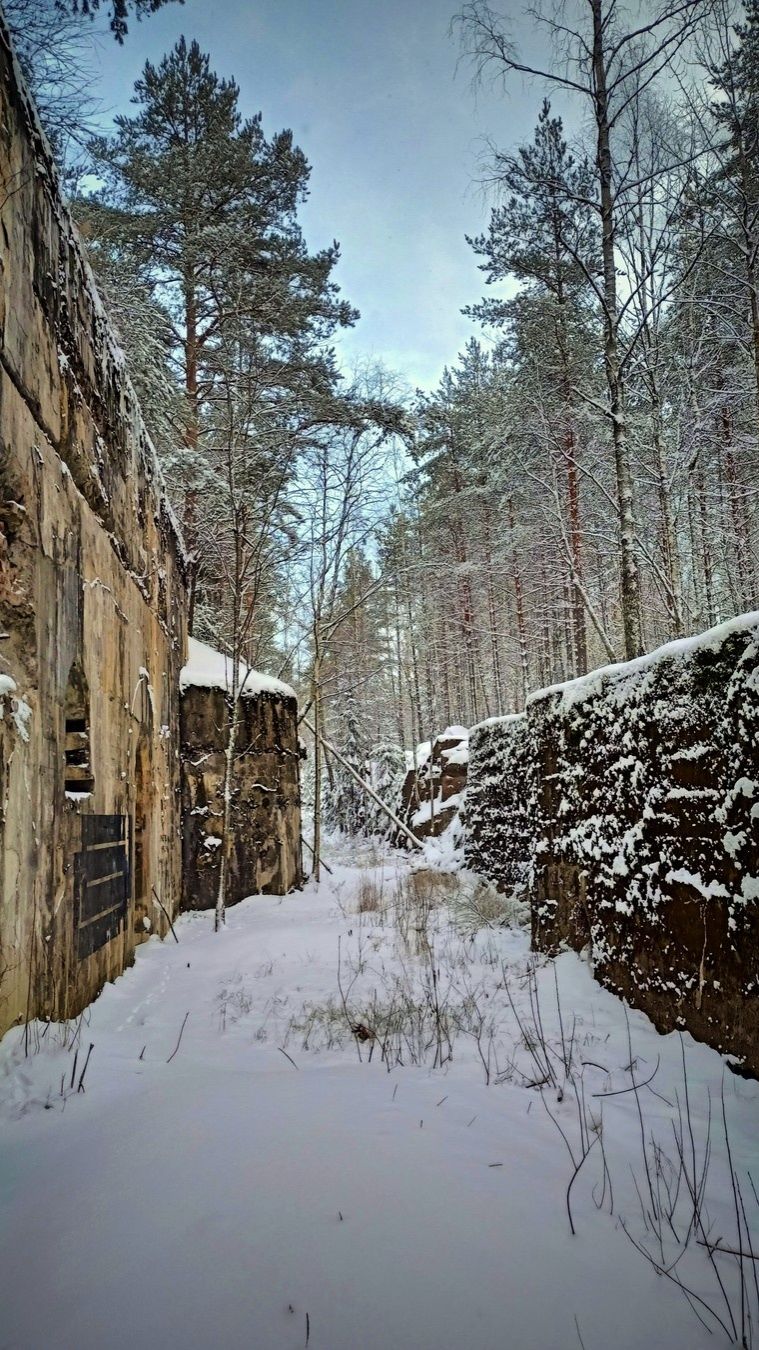 Почему вход сюда строго запрещен. Запретный Монрепо