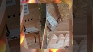 1000055532.mp4 (Собака наблюдает за устройством лестницы на 2-ой этаж в доме А-фрейм)