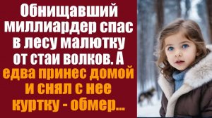 Истории из жизни. Слушать истории. Обнищавший миллиардер спас в лесу малютку от стаи волков.
