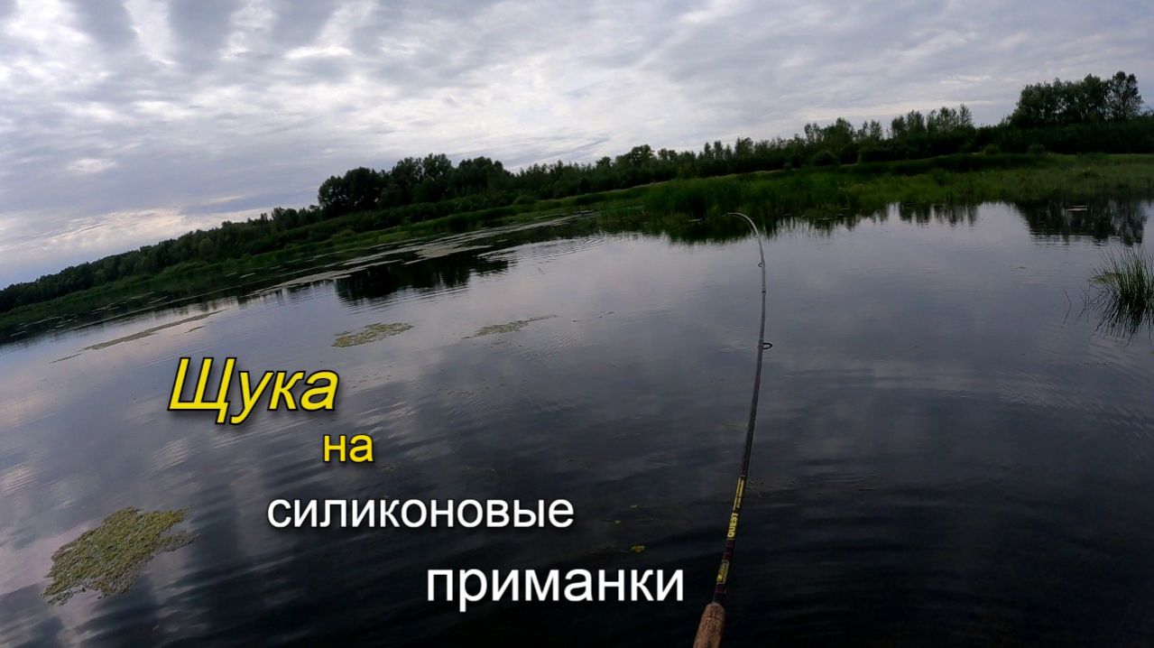 Щука выпрыгивает из воды за силиконовыми приманками