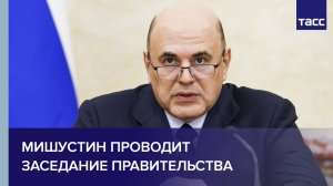 Мишустин проводит заседание правительства