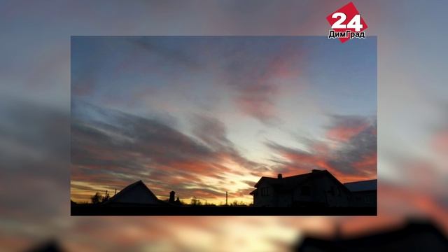 «Кошачья идиллия» и димитровградские закаты стали лучшими в России
