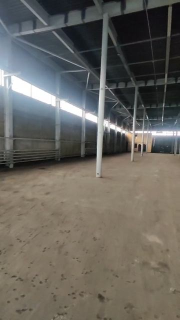 Объект 14576, Московская обл., г.о. Чехов, деревня Сергеево, 500 соток.