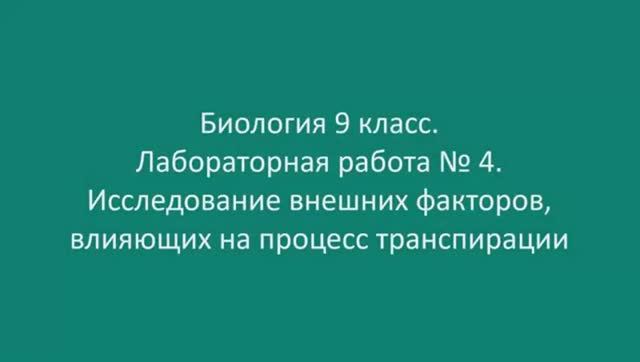 Исследование внешних факторов влияющих на процесс транспирации