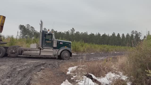 Северная Каролина. Добыча леса.