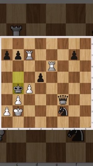 Покажу, как 2 ладьи сильнее 1 ферзя и 1 коня с пешкой