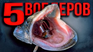 🔴 Закинул и вытащил! Рабочие воблеры на щуку для начинающего спиннингиста!🔥💥🔥