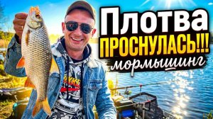 Мормышинг в АПРЕЛЕ !!! / Поиск Места, Выбор Приманки #мормышинг