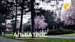 Анапа  🌞 МАГНОЛИИ на Пионерском проспекте 🌞 29 марта 2026 года 🌞 блогер Альбатрос