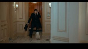 «Пингвины мистера Поппера»