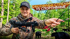 Многозарядный арбалет: тест спортивных и охотничьих стрел