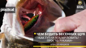 Чем будить весенних щук. «Как тут на воблер ловить? – Просто. Руками». А. Ивашков. Anglers Practical