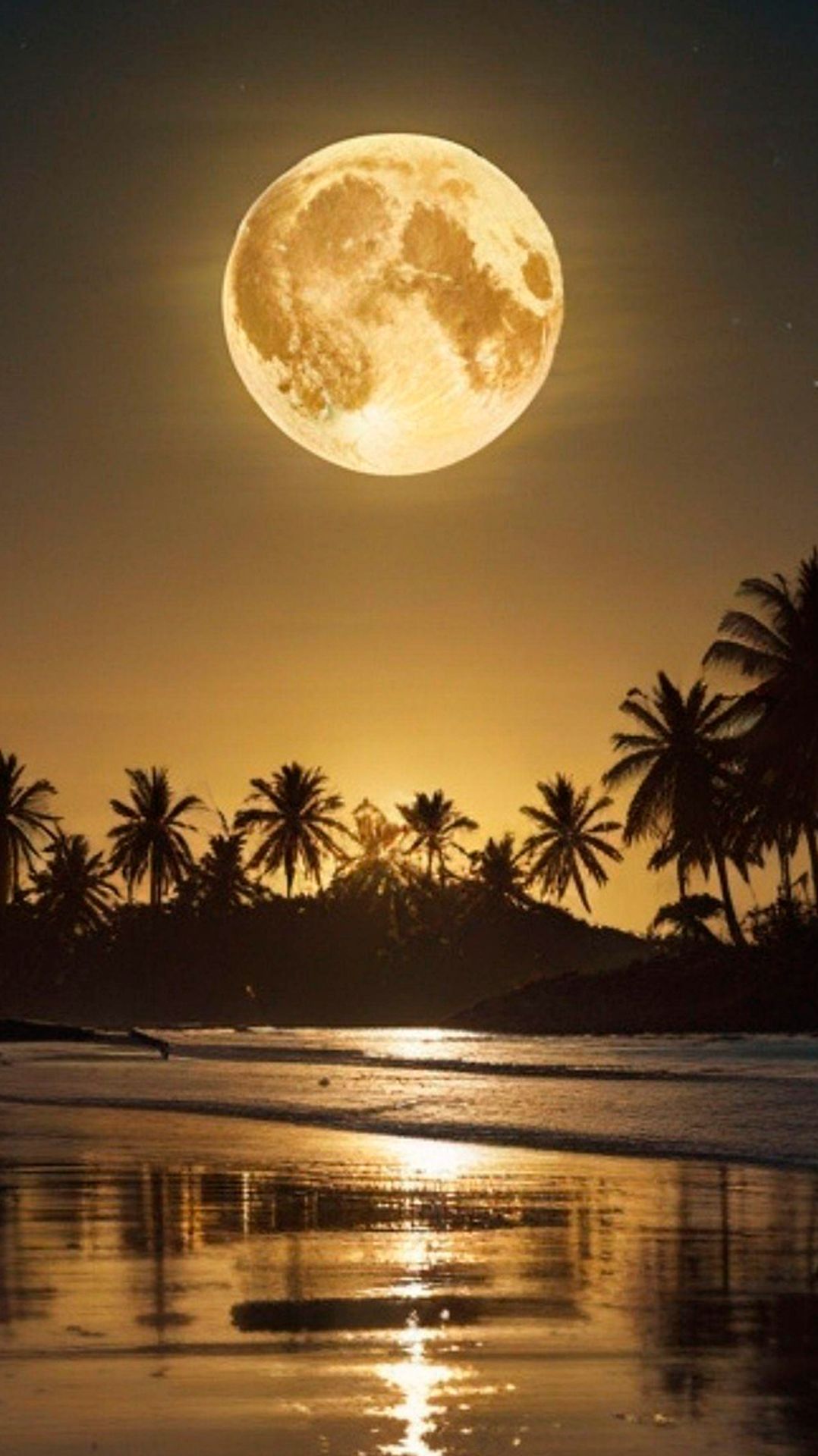 ✨ МЕДИТАТИВНАЯ УСПОКАИВАЮЩАЯ МУЗЫКА ДЛЯ СНА 🎵 РАССЛАБЛЯЮЩАЯ МУЗЫКА ДЛЯ ДУШИ В ТРОПИКАХ ПОД ЛУНОЙ