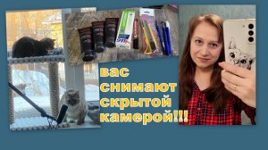 ВЛОГ: ПУШИСТЫЕ СТРАСТИ! ЛЮСЯ + ТОСЯ = ...