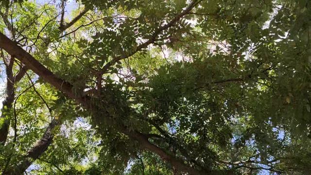 Один из дней города Евпатории | 13 сентября 2021 г | Крым ХАН БАТОН XAH 6ATOH | VID_20210913_151906