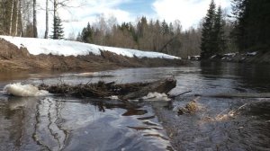 Водный поход по Белой Тверской 1-2 апреля 2026