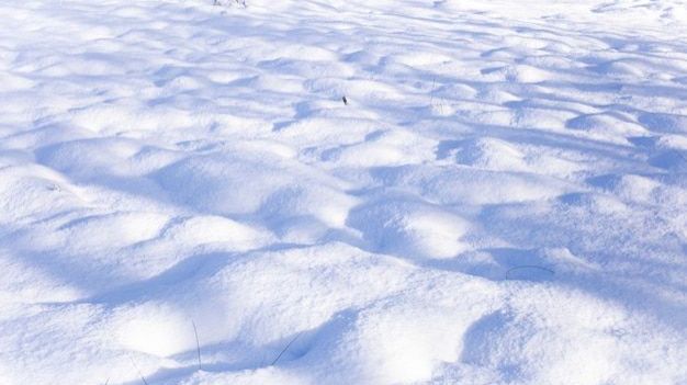 А на белом снегу.(стихи Марины Шмидт муз Зеленина А.Б)