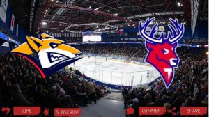 Металлург - Торпедо | Текстовая трансляция