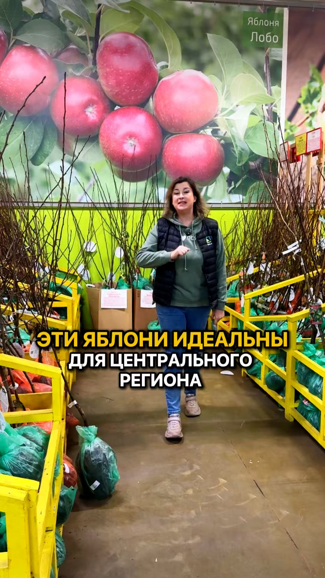 ТРИ сорта ЯБЛОНЬ идеальных для центрального региона.