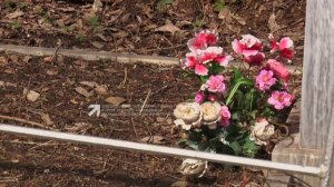 Восстанавливают дорогу к Уреньгинскому кладбищу