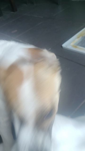 у меня подушку украли.