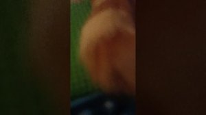 я залез в смертельную пещеру 💀☠️