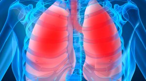 Наши лёгкие не были предназначены для этого воздуха.