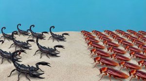 10 скорпионов против 100 тараканов! Кто победит?