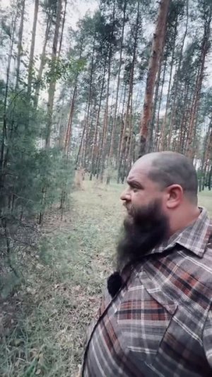 Приманка для медведя