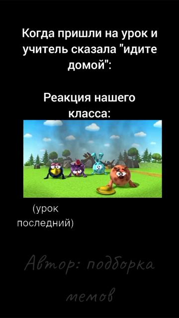 ребята давайте побольше актива пожалуйста смешарики смешарикиприколы приколы мемы мем рек а