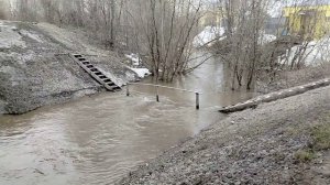 1-9 апреля 2026 р. Пыж. г. Пермь