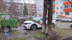 В Уфе зафиксировали более 10 случаев падения деревьев