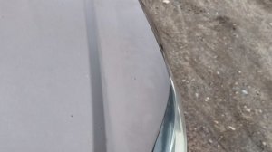 polo коричневый