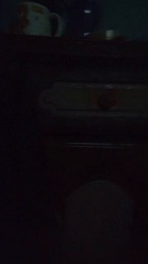 дискотека игрушек