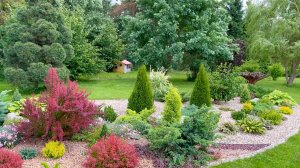 Рокарию быть или мечты сбываются.