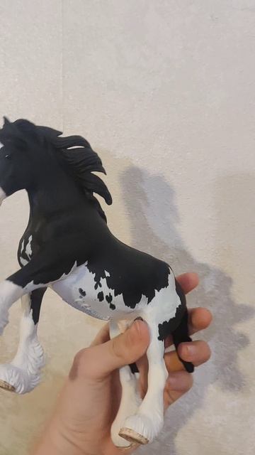 первые видео про лошадей