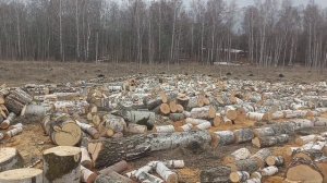 выходные дни в деревне