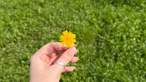 Вязовлог 24. Покупки, процессы и немного готовых работ.