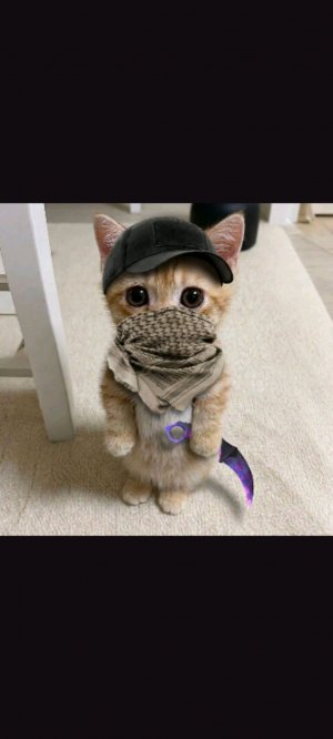 Копим на бабочку.