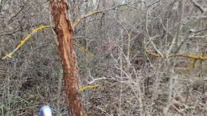 Рыбалка с подсаком на лужах после разлива реки, выхватил много рыбы !