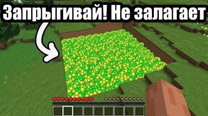 Впечатляющие вещи в Майнкрафт