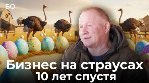 Страусы эму, нанду и альпаки. Хозяин экзотической фермы Поволжья о том, как бизнес вырос за 10 лет