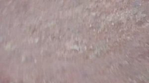 РЕАЛЬНО СЕЛЬСКАЯ ГУЛЯНКА | ДВА СТУНТЕРА