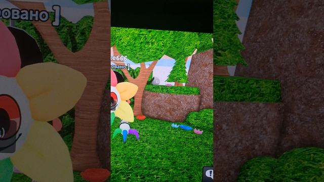 Лучшие прятки на смертельных и на мейнов! 🐈⬛