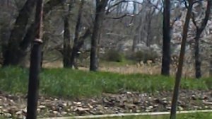 DSCN8623 Апрель 2026 Набережная возле парка Невинномысск