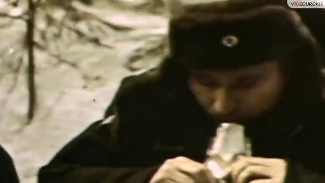 Космос - это мы