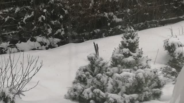 Пермский край! Снег! Холод! 10 Апреля! 🌨️❄️☃️ Как Вам после тепла?