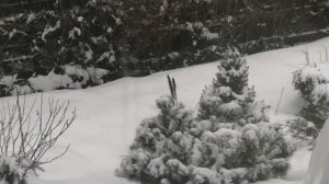 Пермский край! Снег! Холод! 10 Апреля! 🌨️❄️☃️ Как Вам после тепла?