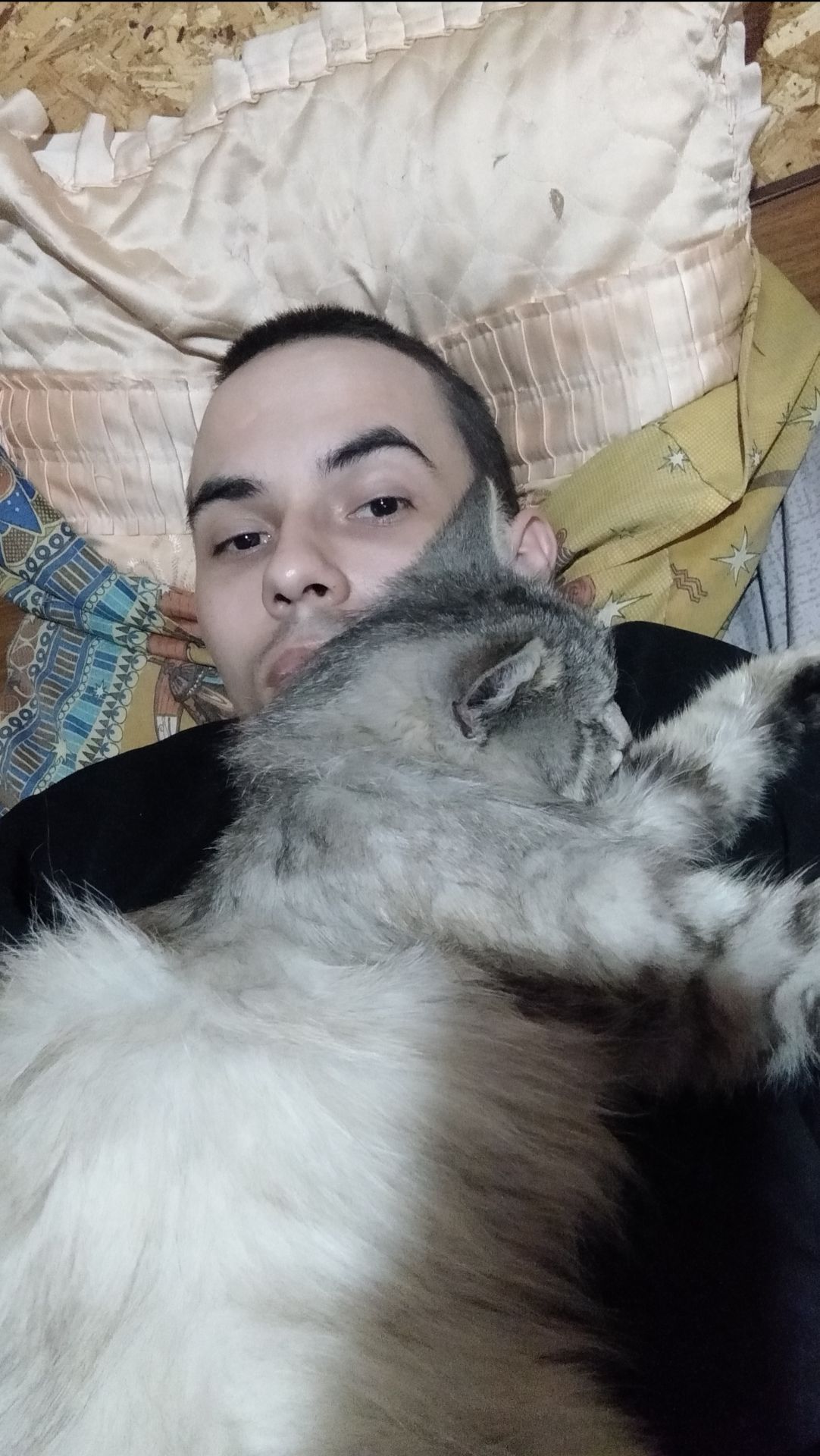 Кошка 😸✌️👍